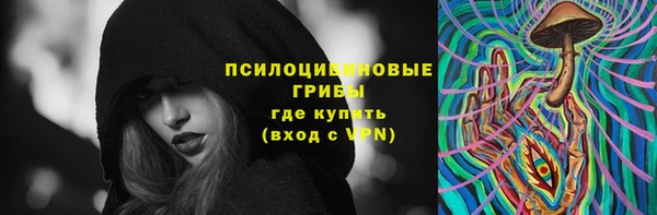 молекула духа Алексеевка