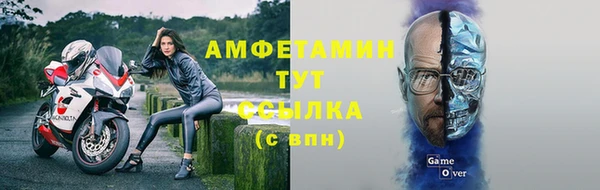 молекула духа Алексеевка