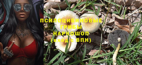 молекула духа Алексеевка