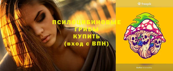 молекула духа Алексеевка