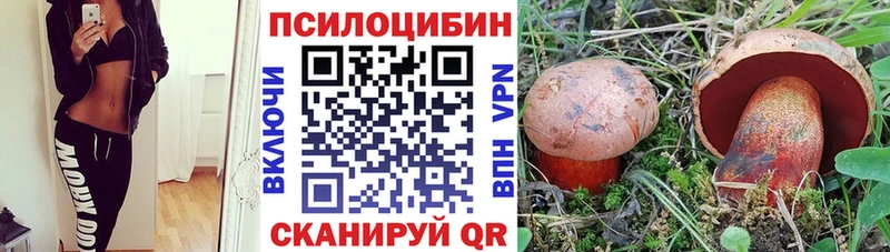 где найти наркотики Находка Псилоцибиновые грибы мухоморы